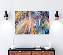 Obraz Pierka vtákov 1936